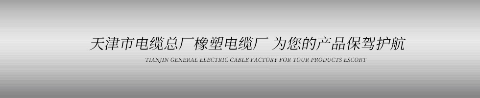 天津市电缆总厂橡塑电缆厂